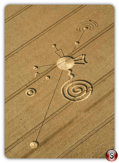 Crop circles - Roundway Hill Wiltshire UK 2014