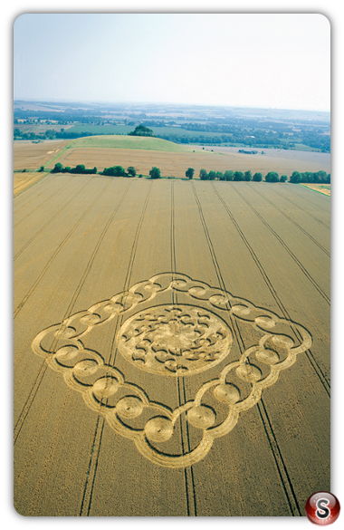 Crop circles - South Field Alton Barnes Wiltshire 2003