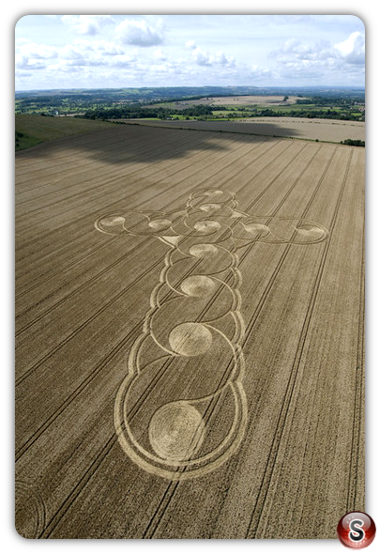 Crop circles - Etchilhampton Hill Wiltshire 2008