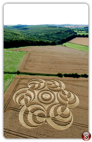 Crop circles - West Woods 2007