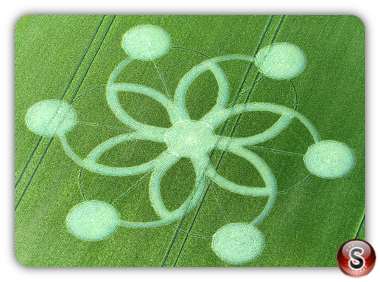 Crop circles - Chicklade Wiltshire 2017