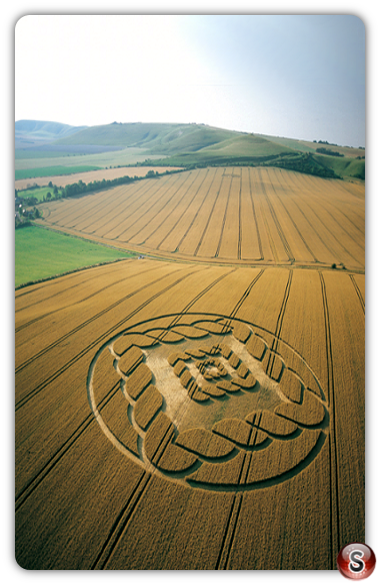 Crop circles - South Field Alton Barnes Wiltshire 2002