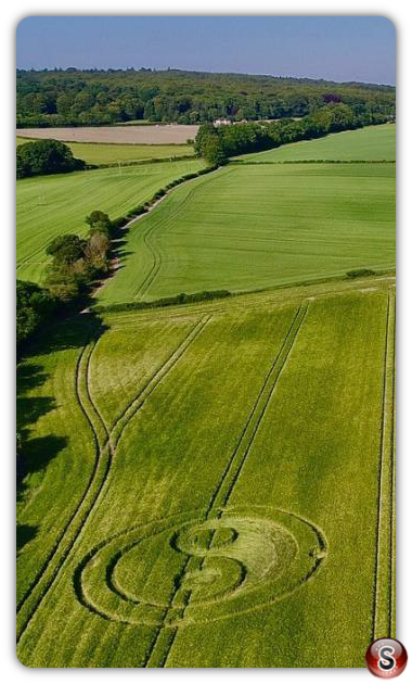 Crop circles - Cley Hill WIltshire 2020 