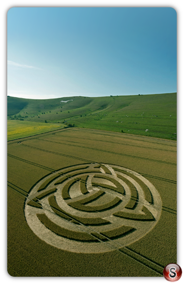 Crop circles Milk Hill Nr Alton Barnes Wiltshire 2011