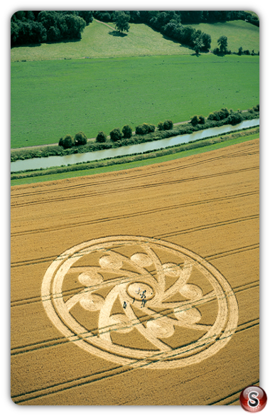 Crop circles - Woodborough Hill Wiltshire 2001