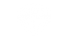 WARNER BROS PICTURES