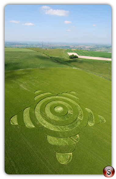 Crop circles - Morgans Hill Wiltshire 2007