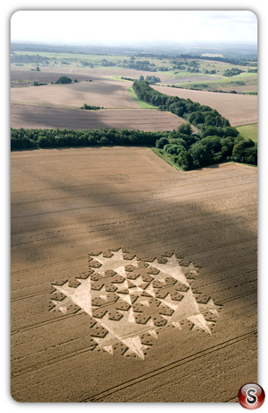 Crop circles - Chute Causeway Nr Mount Cowdown Wiltshire 2007