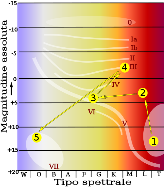 Il ciclo vitale del Sole sul diagramma H-R