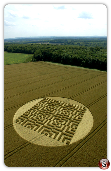 Crop circles - Forest Hill Marlborough Wiltshire 2004