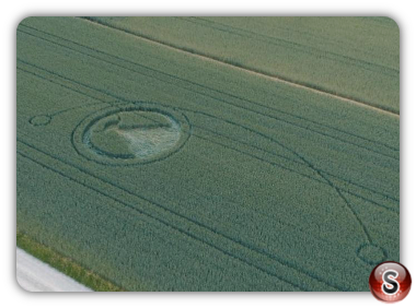 Crop circles  -Uster Zürich 2018