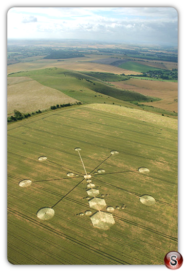 Crop circles - Milk Hill Wiltshire 2005