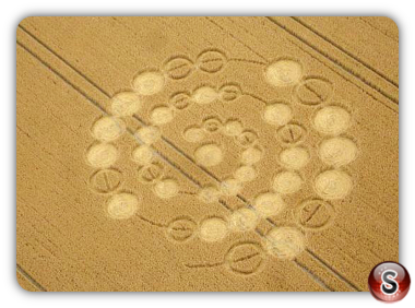 Crop circles - Windmill Hill nr Avebury Wiltshire 2012