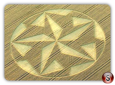 Crop circles - Etchilhampton Hill 2008