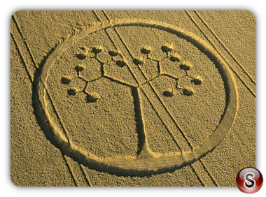 Crop circles - Farley Mount Hampshire 2002