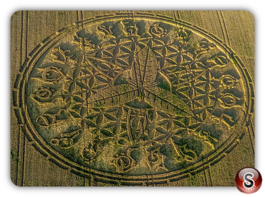 Crop circles - Ansty Wiltshire 2016