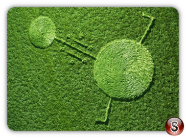 Crop circles - Hoeven Noord-Brabant Nederland 2016