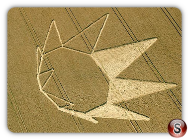 Crop circles - Longwood Warrren nr Winchester Hampshire 2012