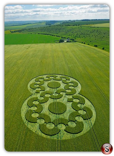 Crop circles - Chirton Button 2010