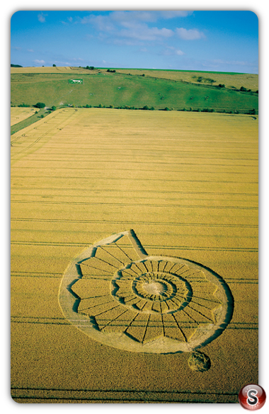 Crop circles - Pewsey White Horse Wiltshire 2002
