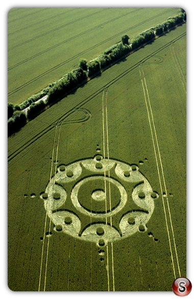 Crop circles - Lane End Down Hampshire 2001