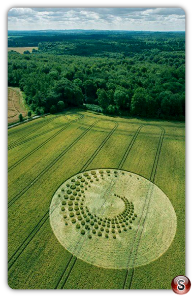Crop circles - Forest hill nr Marlborough  Wiltshire UK 2014