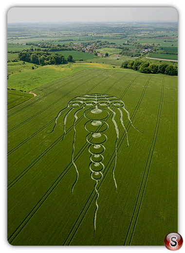 Crop circles - Kingston Coombes (nr Waylands Smithy) Oxfordshire 2009