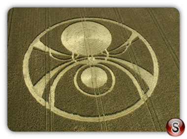 Crop circles - Etchilhampton Hill Wiltshire 2004