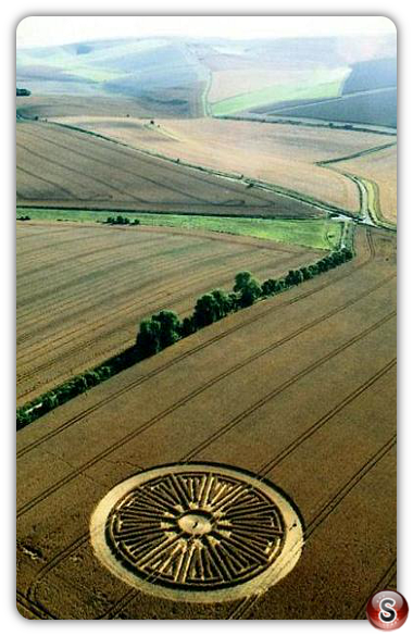 Crop circles - East Kennett Wiltshire 2005