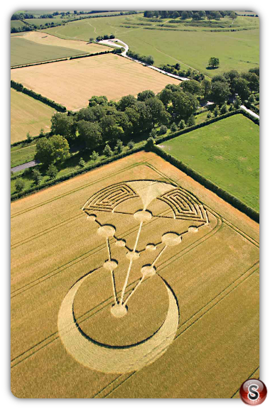 Crop circles  -Badbury Rings Near Wimborne Minster Dorset 2014