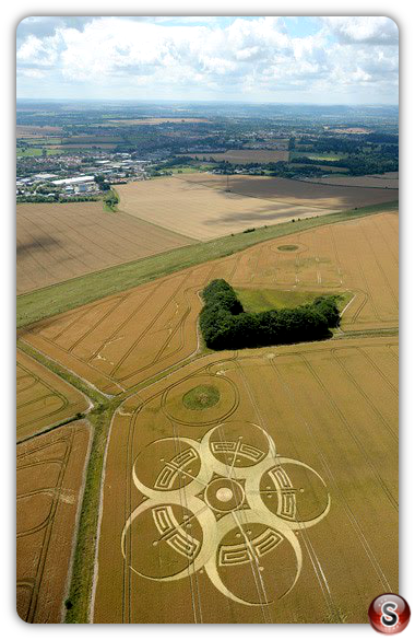 Crop circles - Roundway Hill 2010