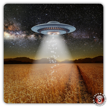 UFO in the cornfield