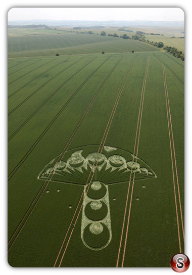 Crop circles - Rough Hill (nr Winterbourne) Bassett Wiltshire 2009
