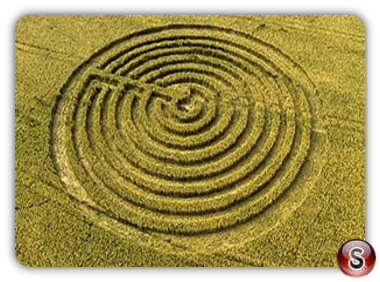 Crop circles - Redlynch Somerset UK 2015