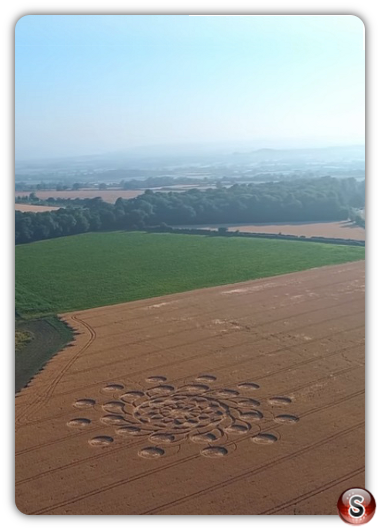 Crop circles - Muncombe Hill Somerset 2018