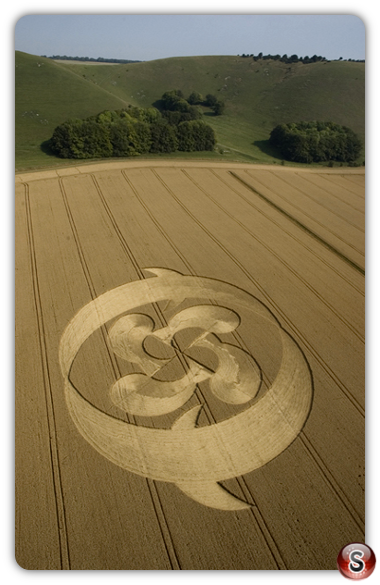Crop circles - Etchilhampton Wiltshire 2004