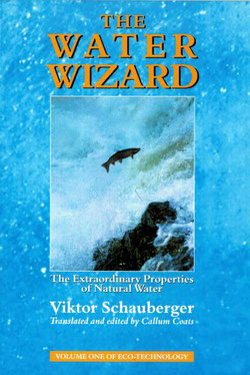 The Water Wizard: The Extraordinary Properties of Natural Water by Viktor Schauberger