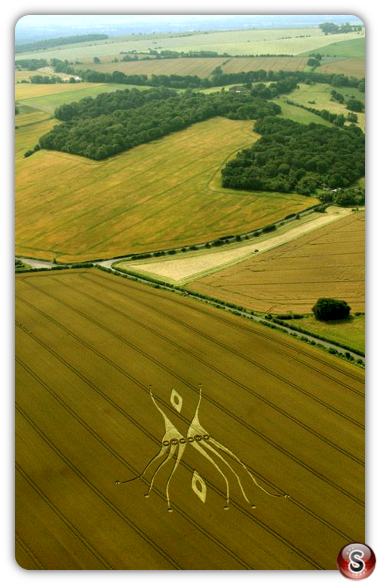 Crop circles - West Overton Hill Wiltshire UK 2012