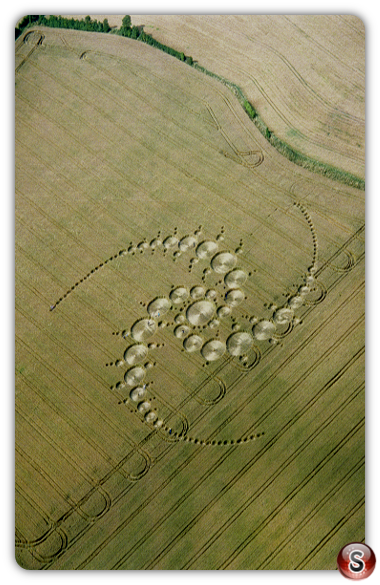 Crop circles - Windmill Hill Wiltshire 1996