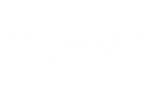 30 BONES cinema