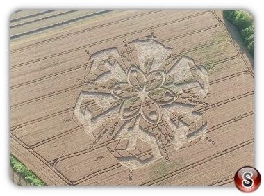 Crop circles - Cascina Geromina Piemonte Italy 2018