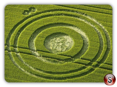 Crop circles - Cherhill Wiltshire 2012