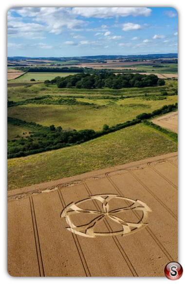 Crop circles -  Anelli Badbury - Dorset 2024