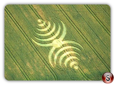 Crop circles - Southend 2007