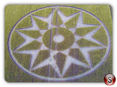 Crop circles - Willoughboy Hedge Wiltshire 2016