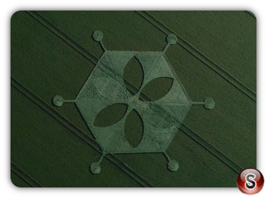 Crop circles - Yarnbury Castle Wiltshire 2018