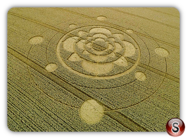 Crop circles - Furzefield Shaw Surrey UK 2015