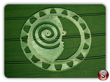Crop circles - Ackpen hill Wiltshire UK 2014