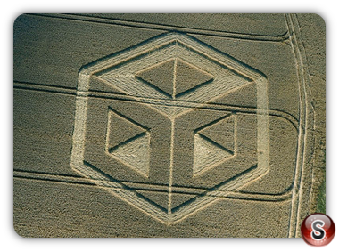 Crop circles - Bishop Sutton Hampshire 2009