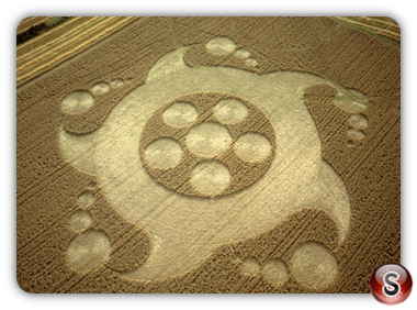 Crop circles - Newton St Loe, Avon 2001